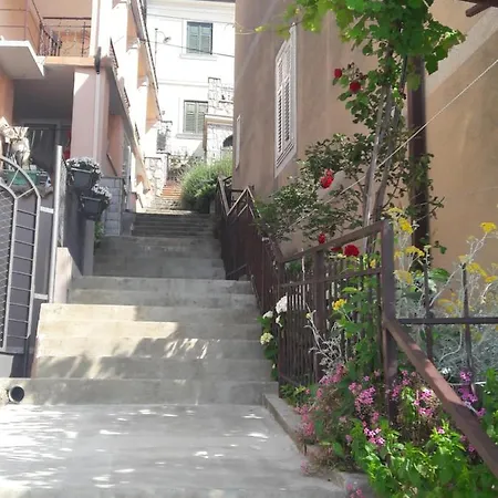 Padelica Mošćenička Draga